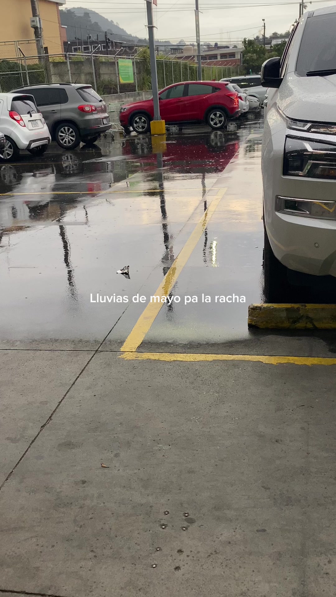 @Rolitas_variables20