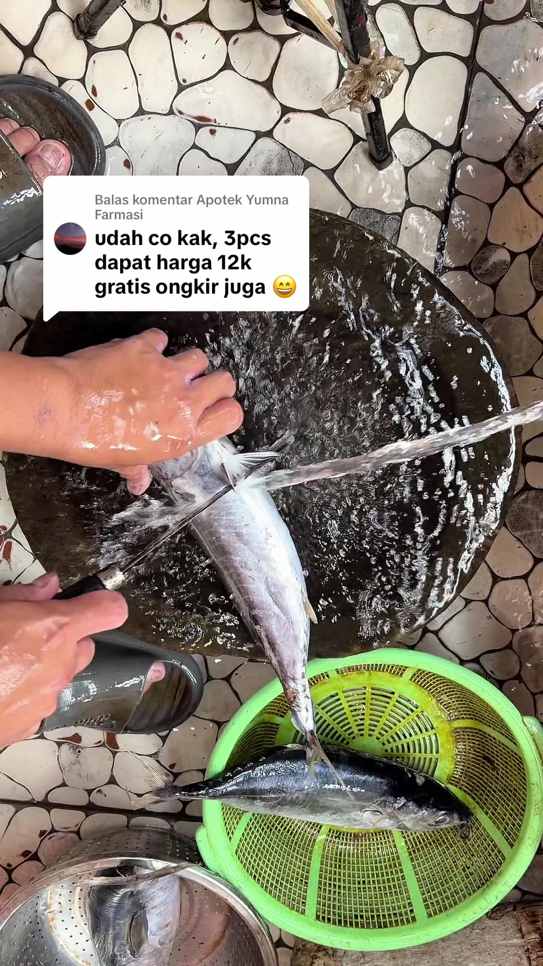 @Depot Ikan