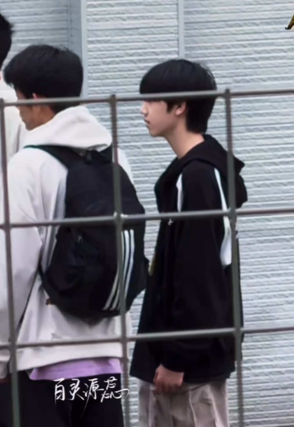 @文涵 • wenhan ᥫ᭡