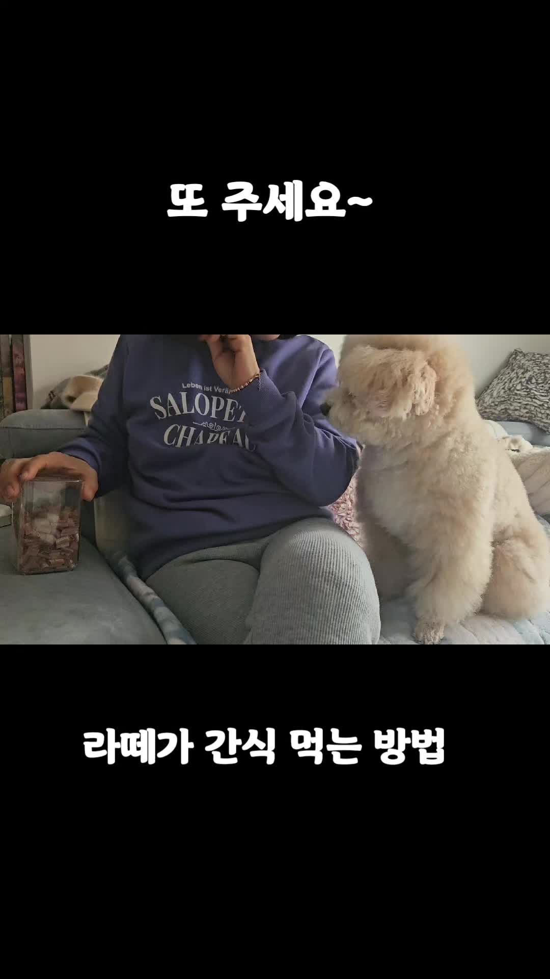 @예쁜라떼