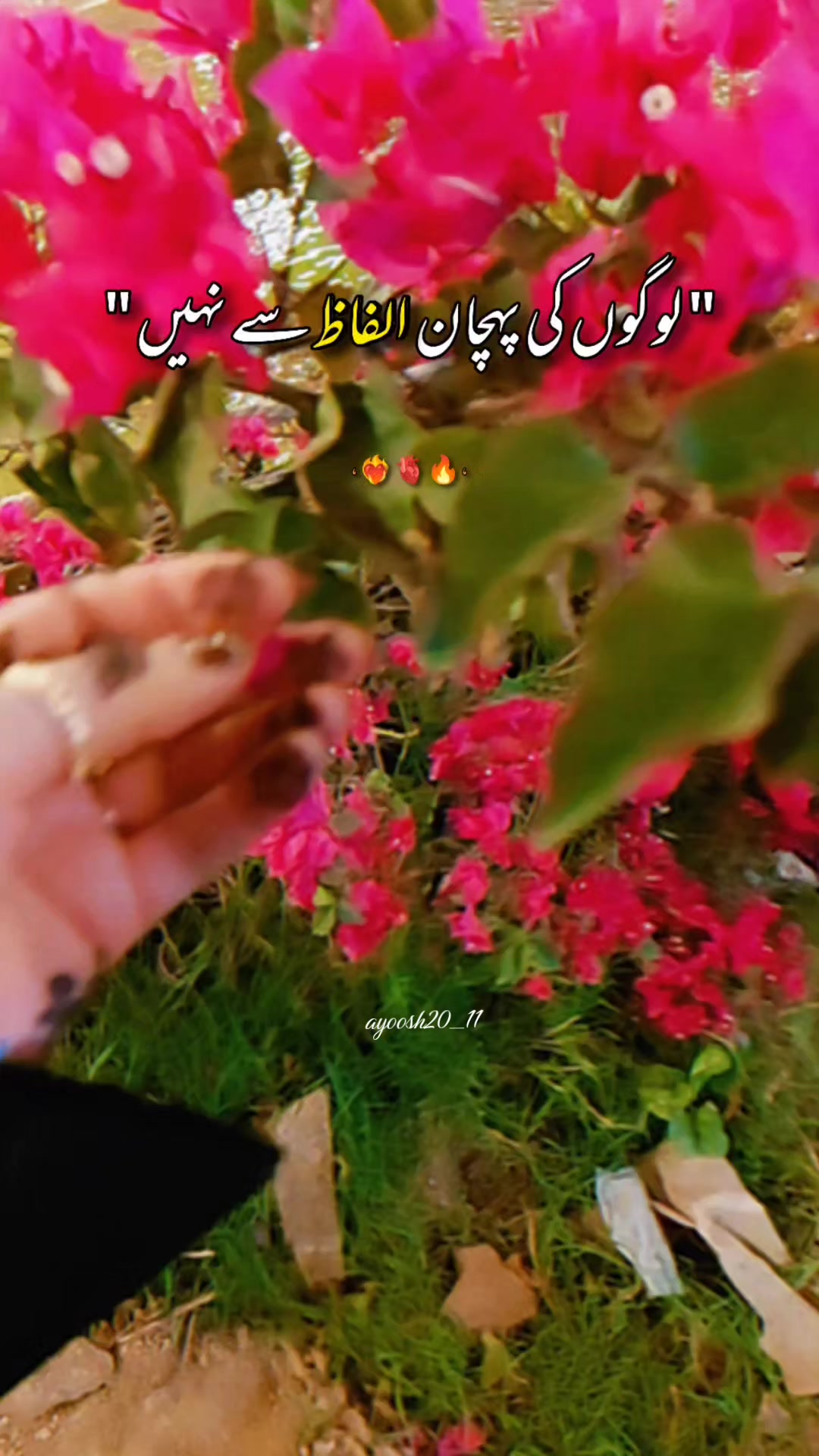 @عيوشي