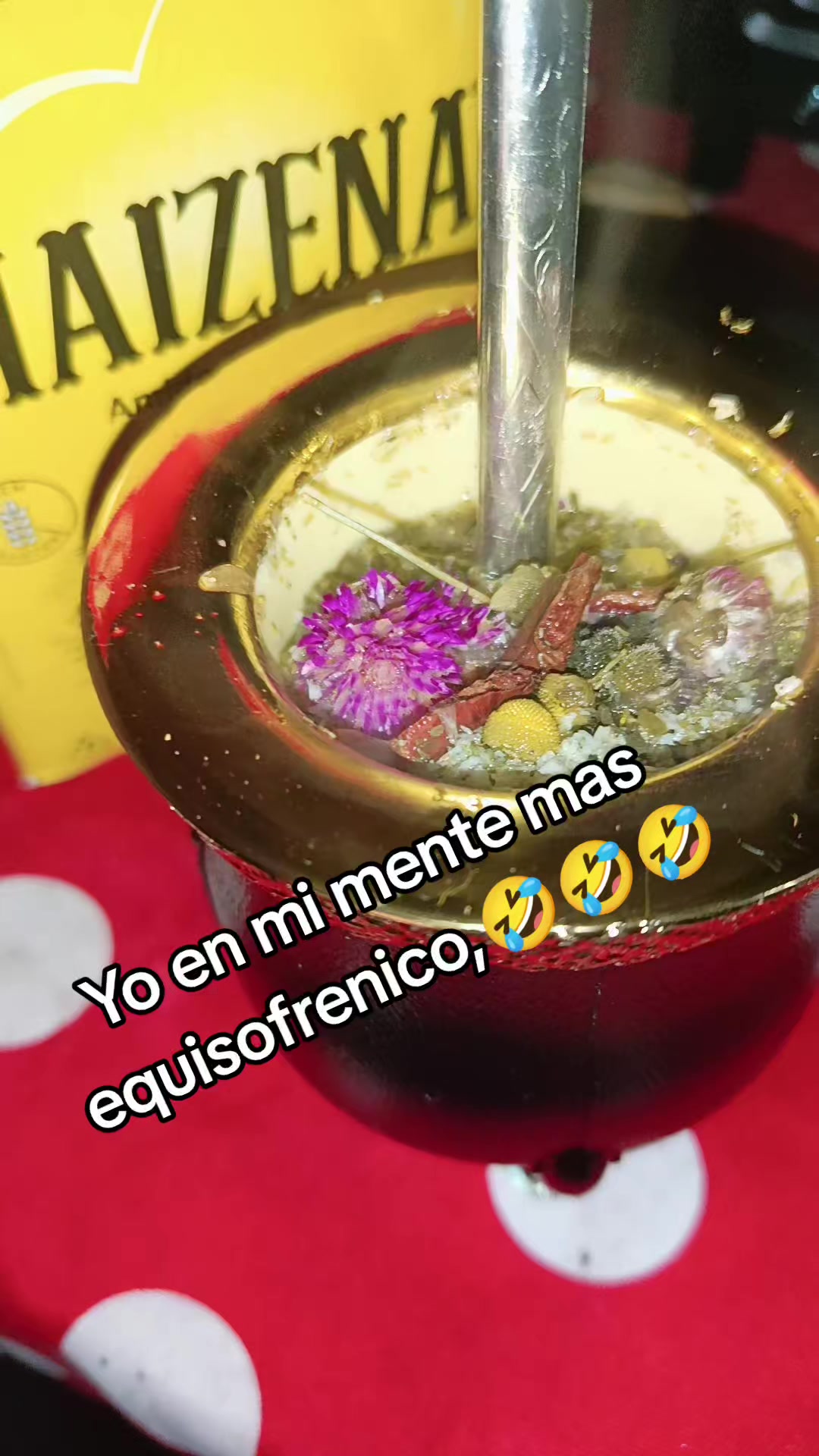 @Noemi Muñoz