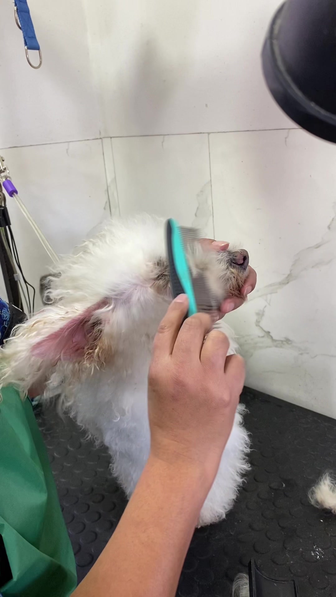 @Gran.kniche🐶