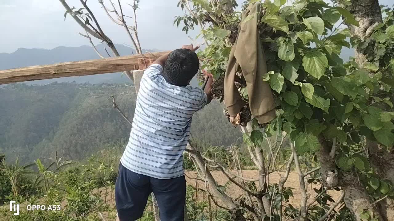 @puskar bhusal