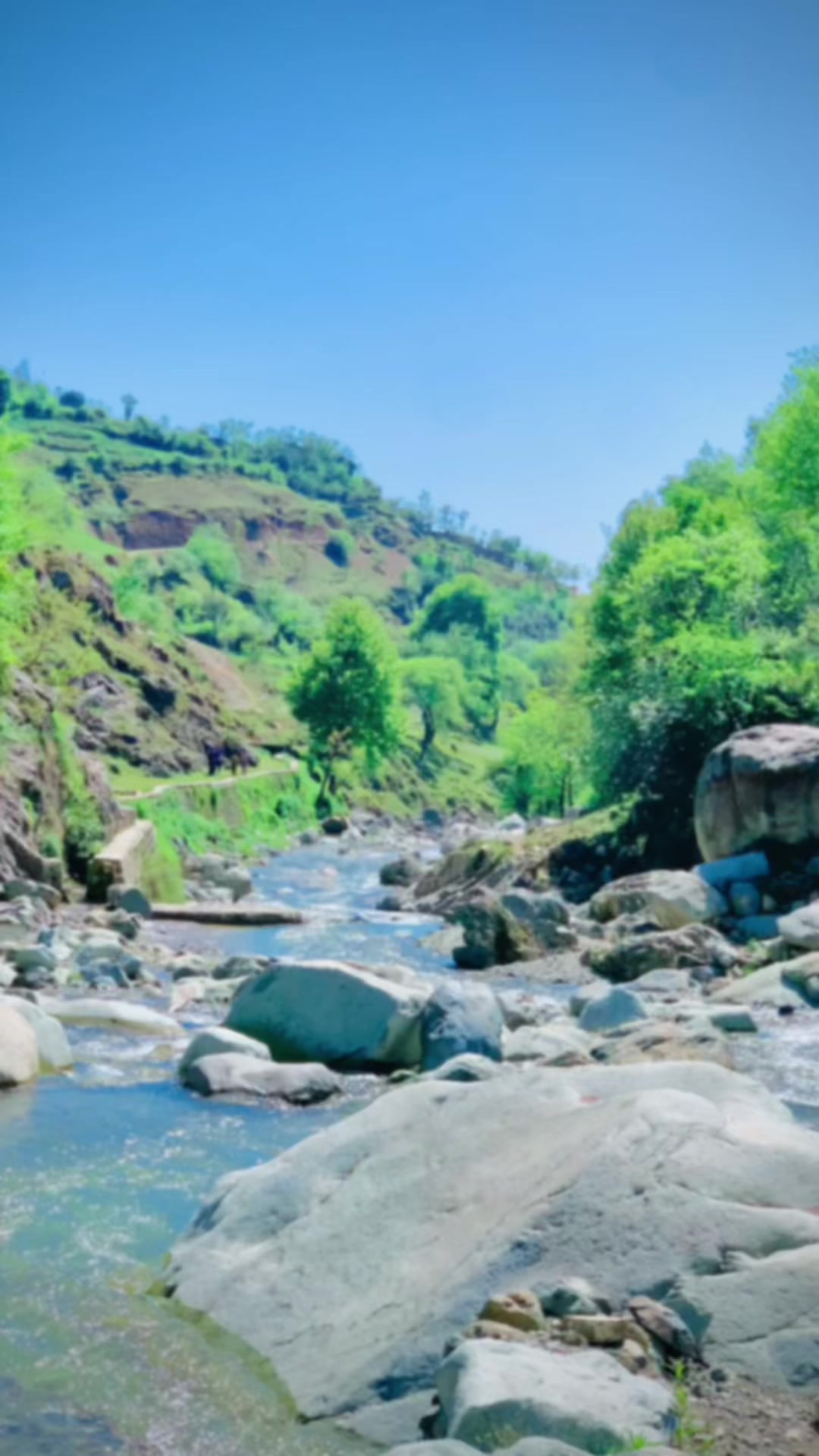 @sajidkhan1414