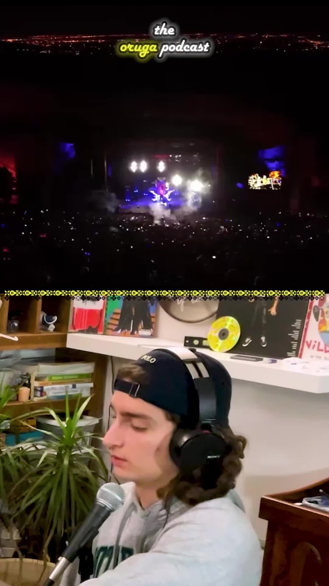 @Oruga 🐛