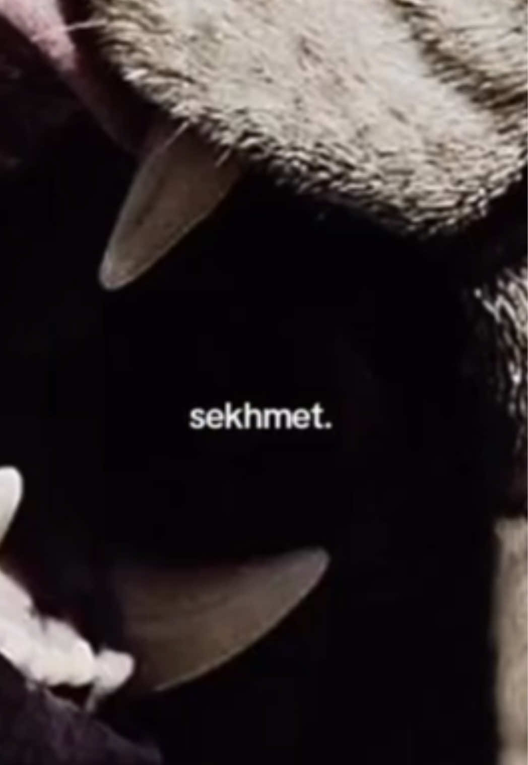 @Sekhmet Mystery School