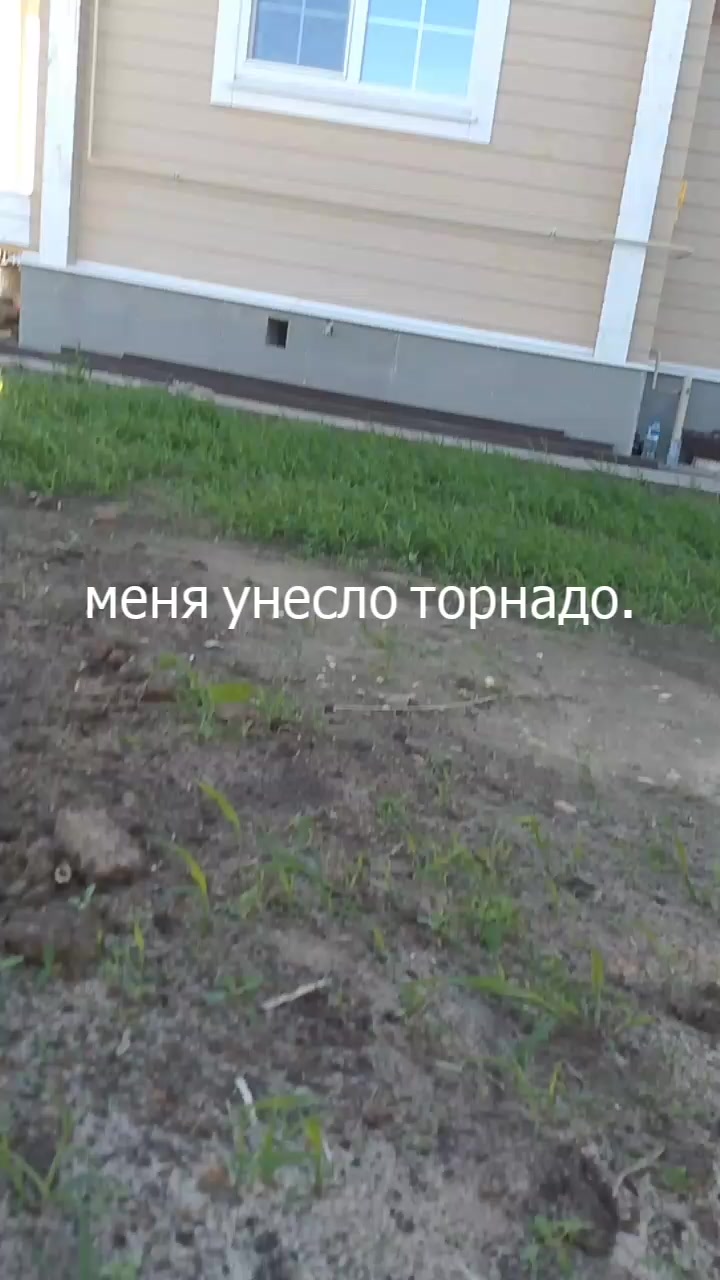 @пятколиз lexus