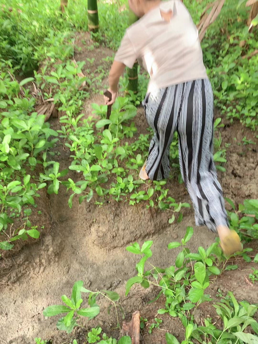 @mel🍃