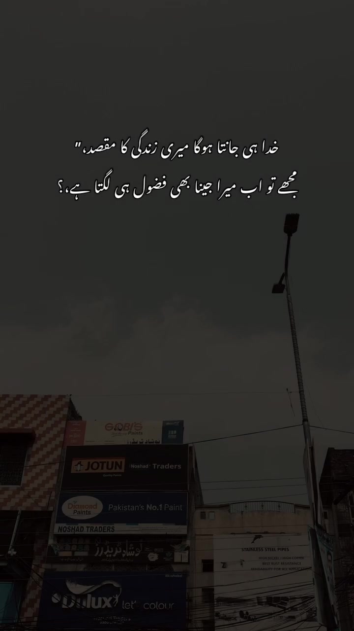 @>پاگل ہو <🦋