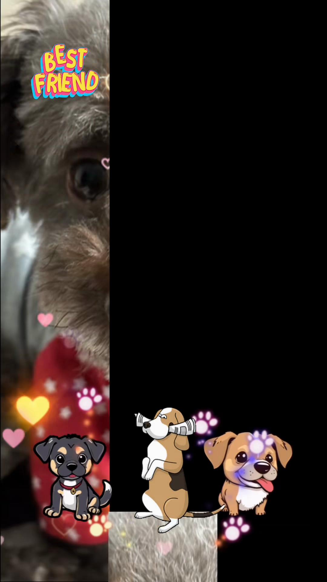 @要子💕ayu🐶