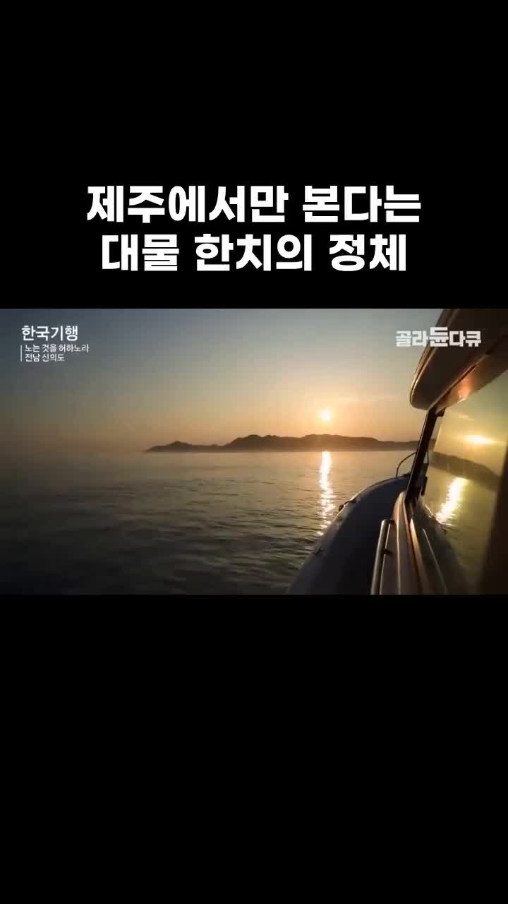 @EBS 다큐