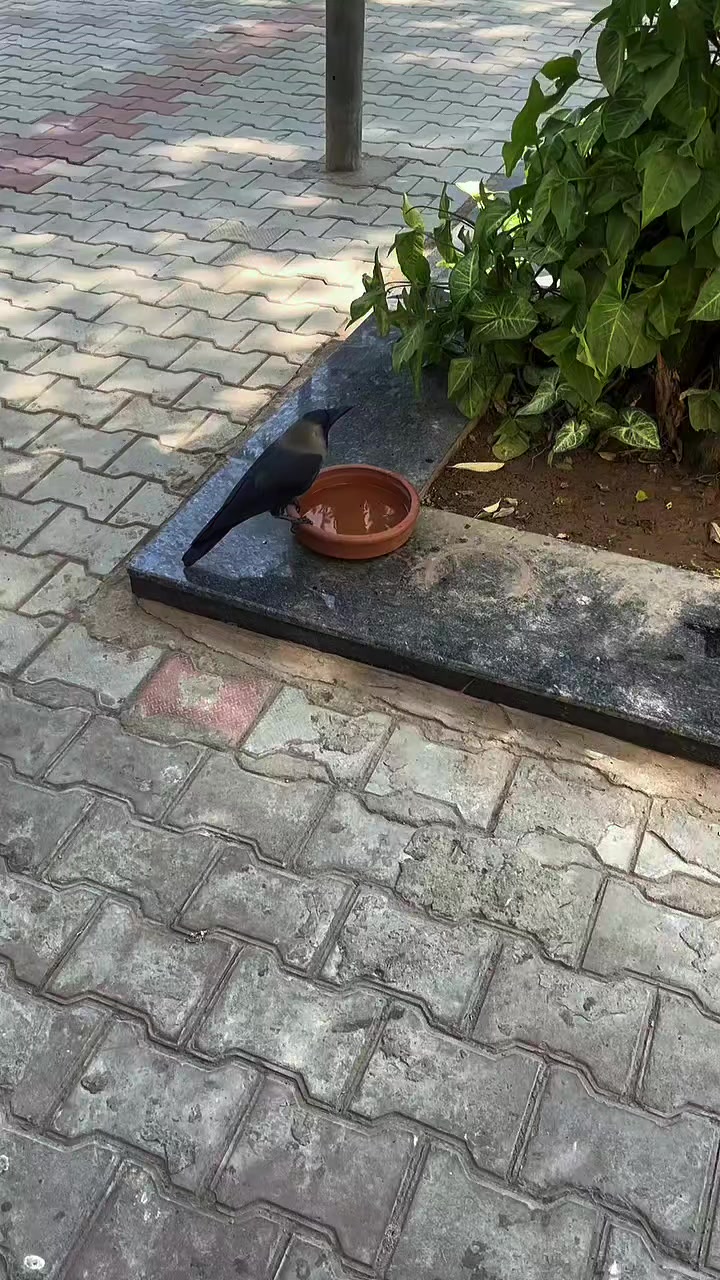 @ṘḀṆḀ ḞḀẏṠḀḶ