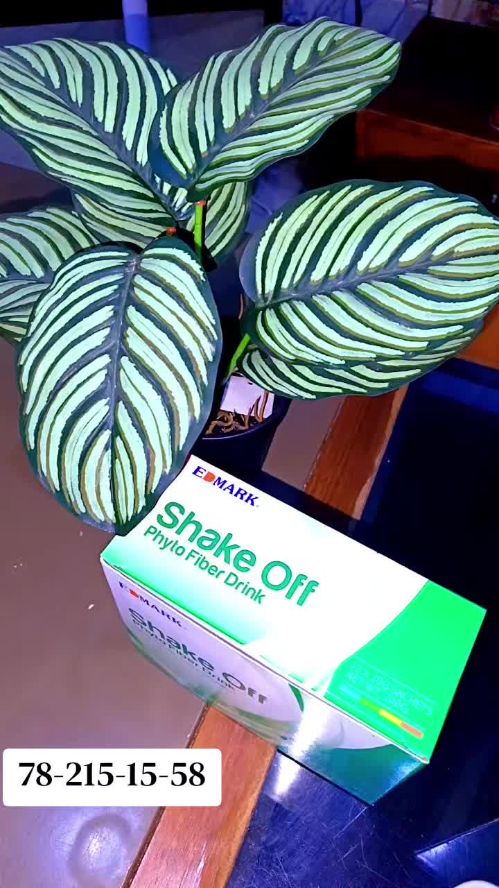 @user69056136891