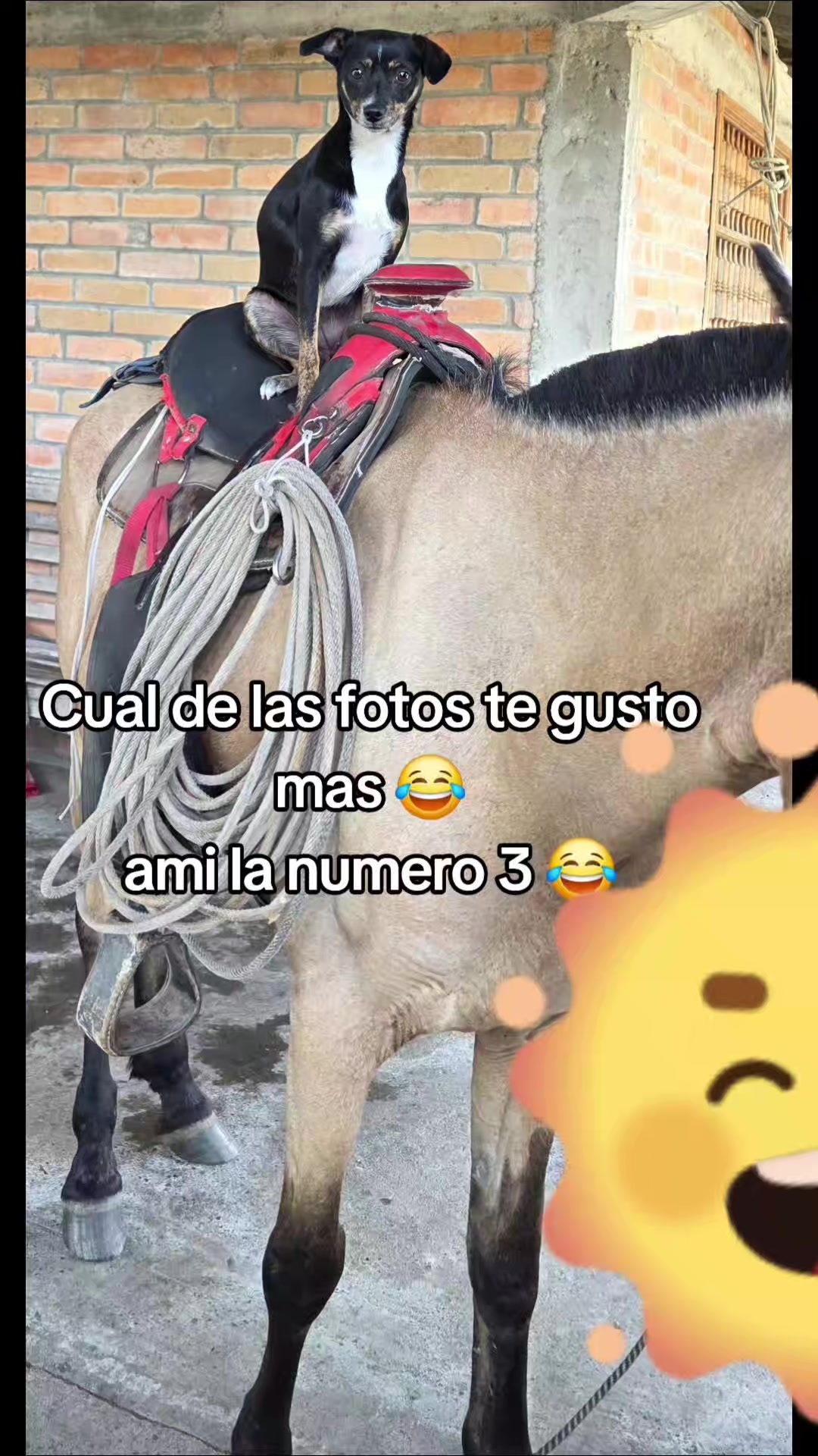 @&hearts;️𝙔𝙖𝙣𝙨𝙞 𝙈 🇨🇴