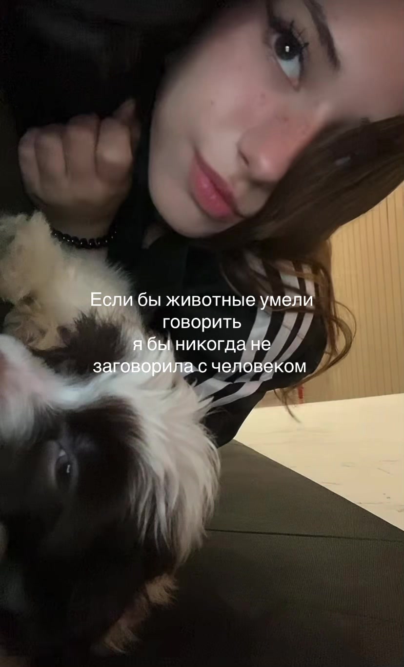 @kirpichekkkkkkkk