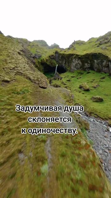 @ruslan4545