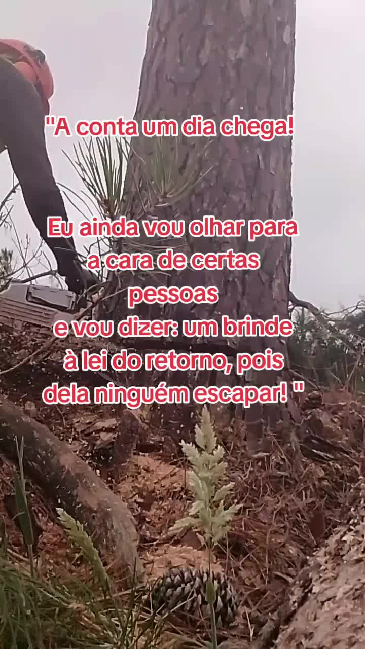 @🧞&zwj;♂️ṢĄƝŢƠŞ🧞&zwj;♂️