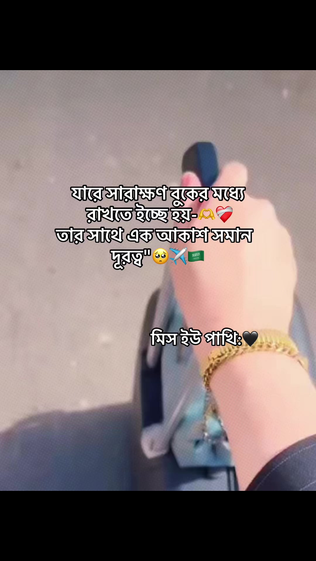 @đĻ S H I U L I đĻ