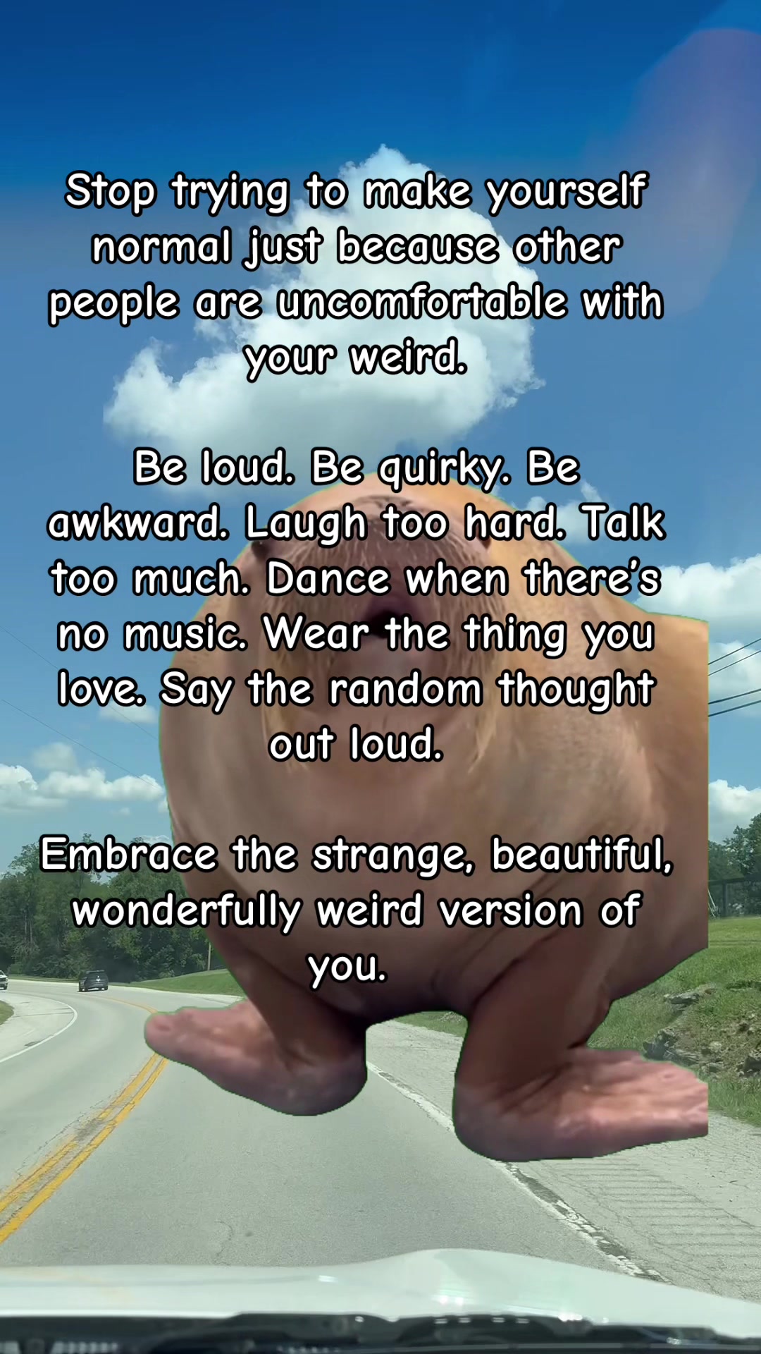 @Local Weirdo