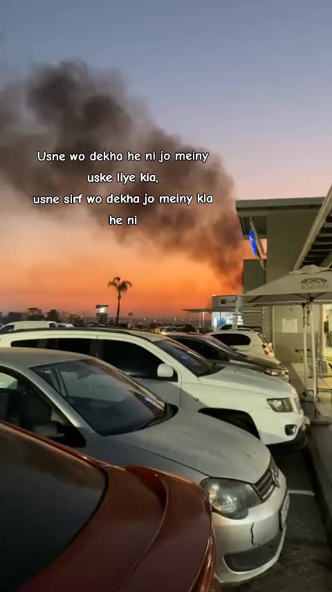 @🕷️