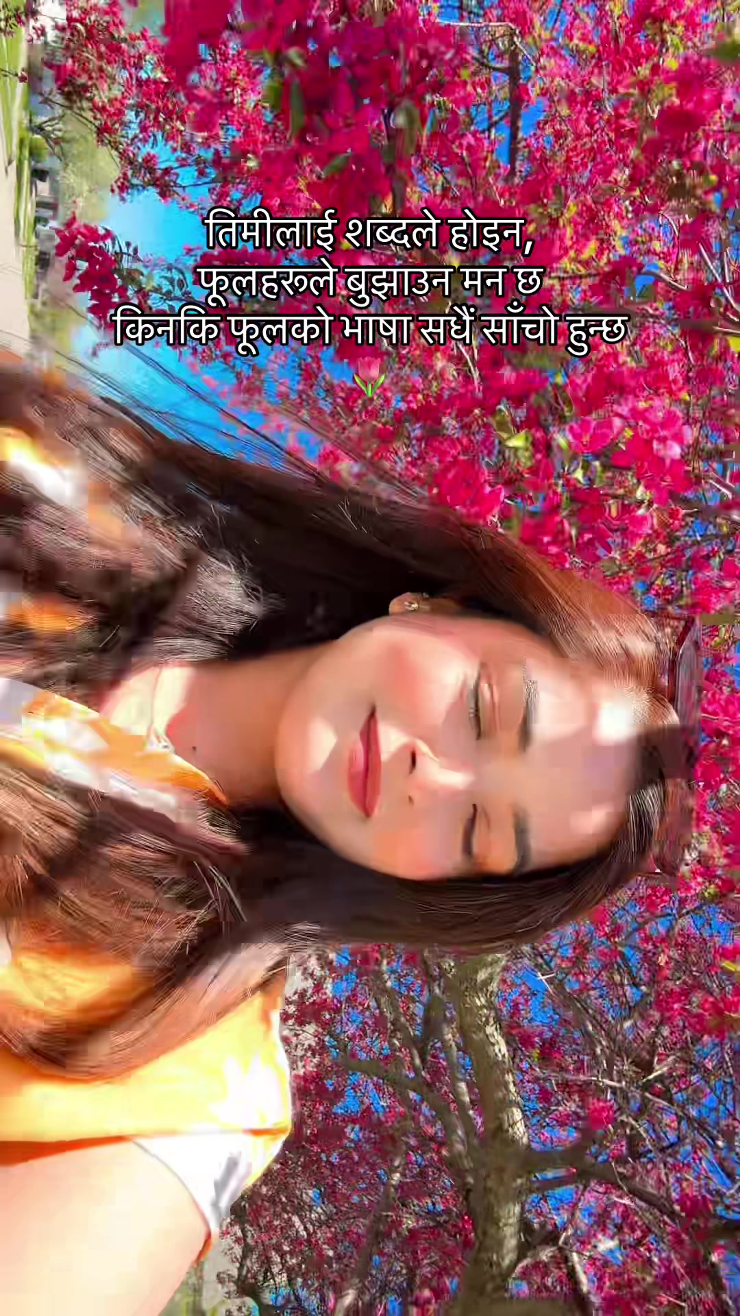 @Er.Sajana Dahal
