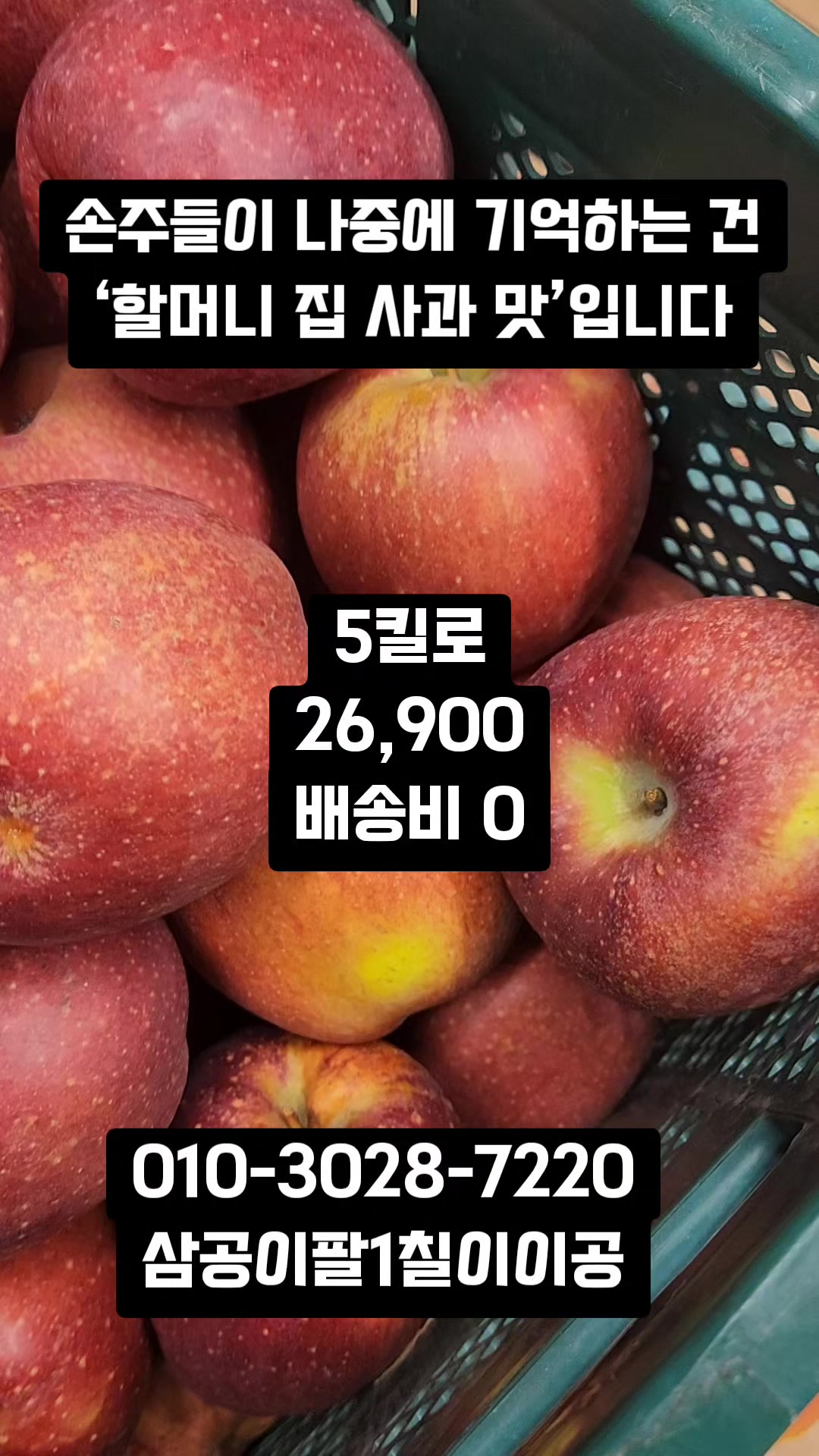 @새콤과일장터