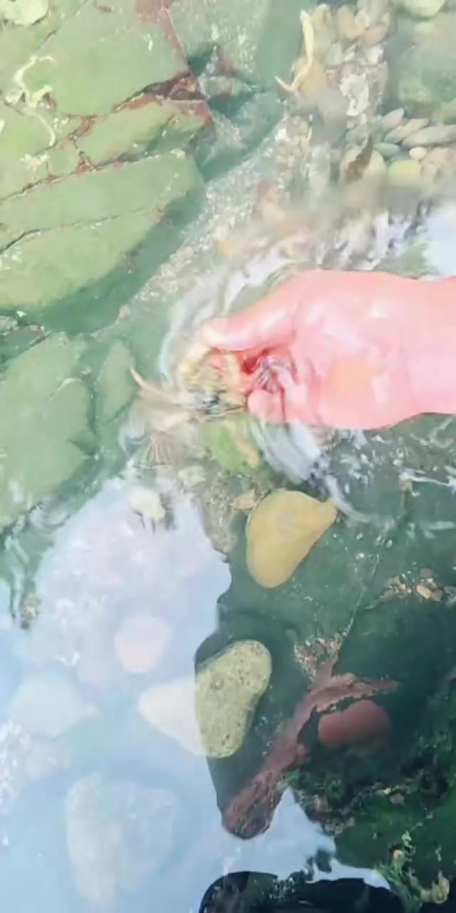 @커피향