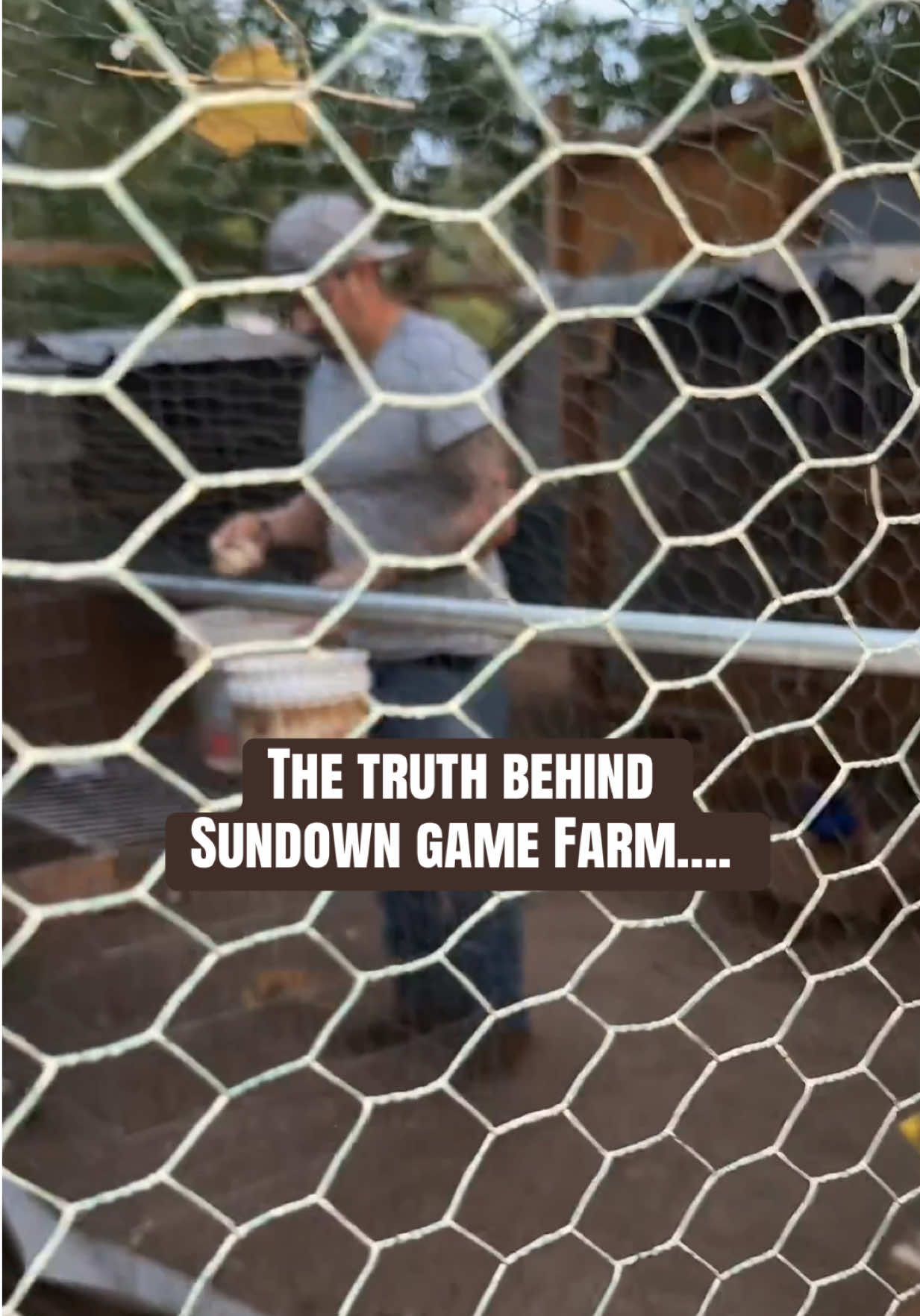 @Sundown Game Farm