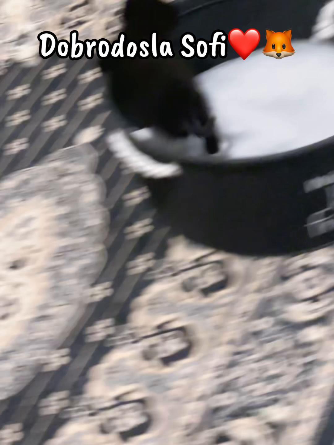 @𝐃 𝐄 𝐍 𝐍 𝐘