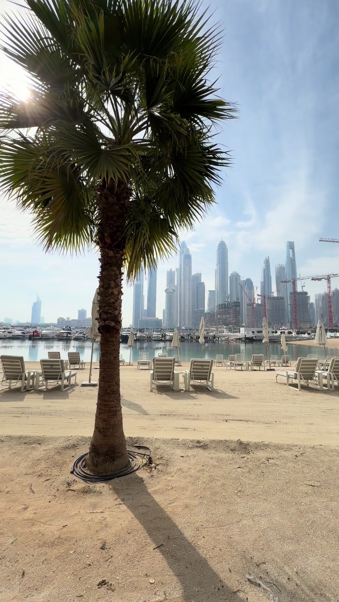 @محمد الشحي ✈️🇦🇪