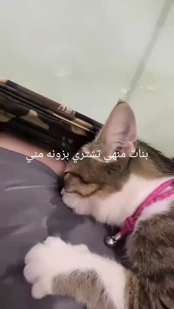 @๐ต๐๐๐๐๐๐