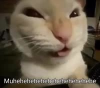 @แ๐๐๐๐ญ๐๐ซ๐ขโงโ โฟโ โฆ