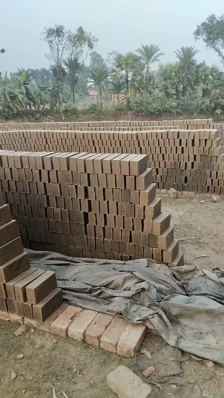 @mdanarali34