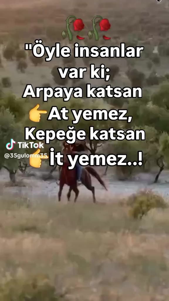 @Atakan ,.gf,๐น๐น๐น๐น๐น๐น