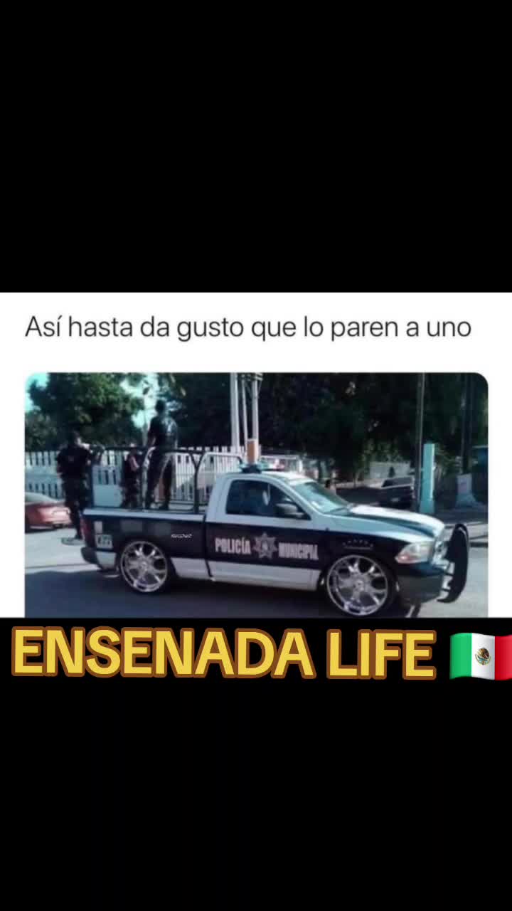@EL Gallo Salcedo🇲🇽