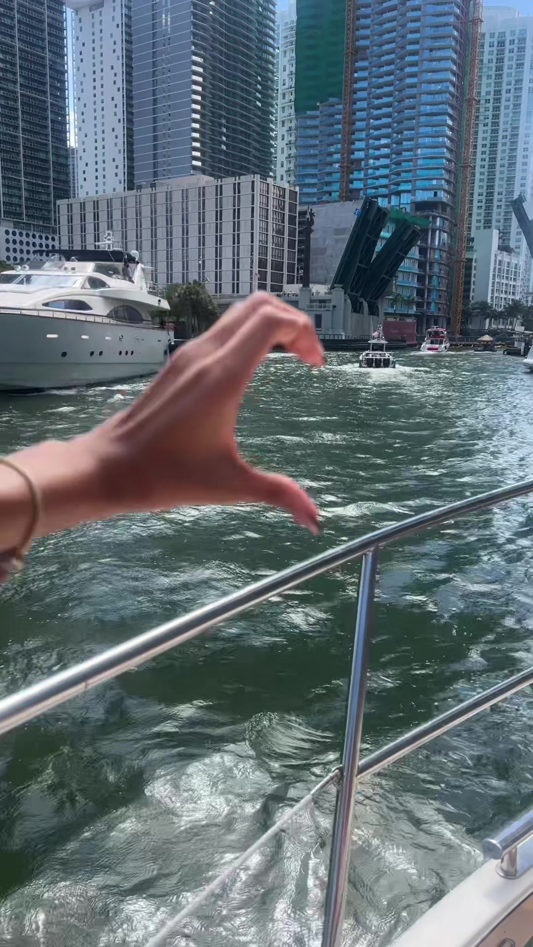 @kiki 🦕