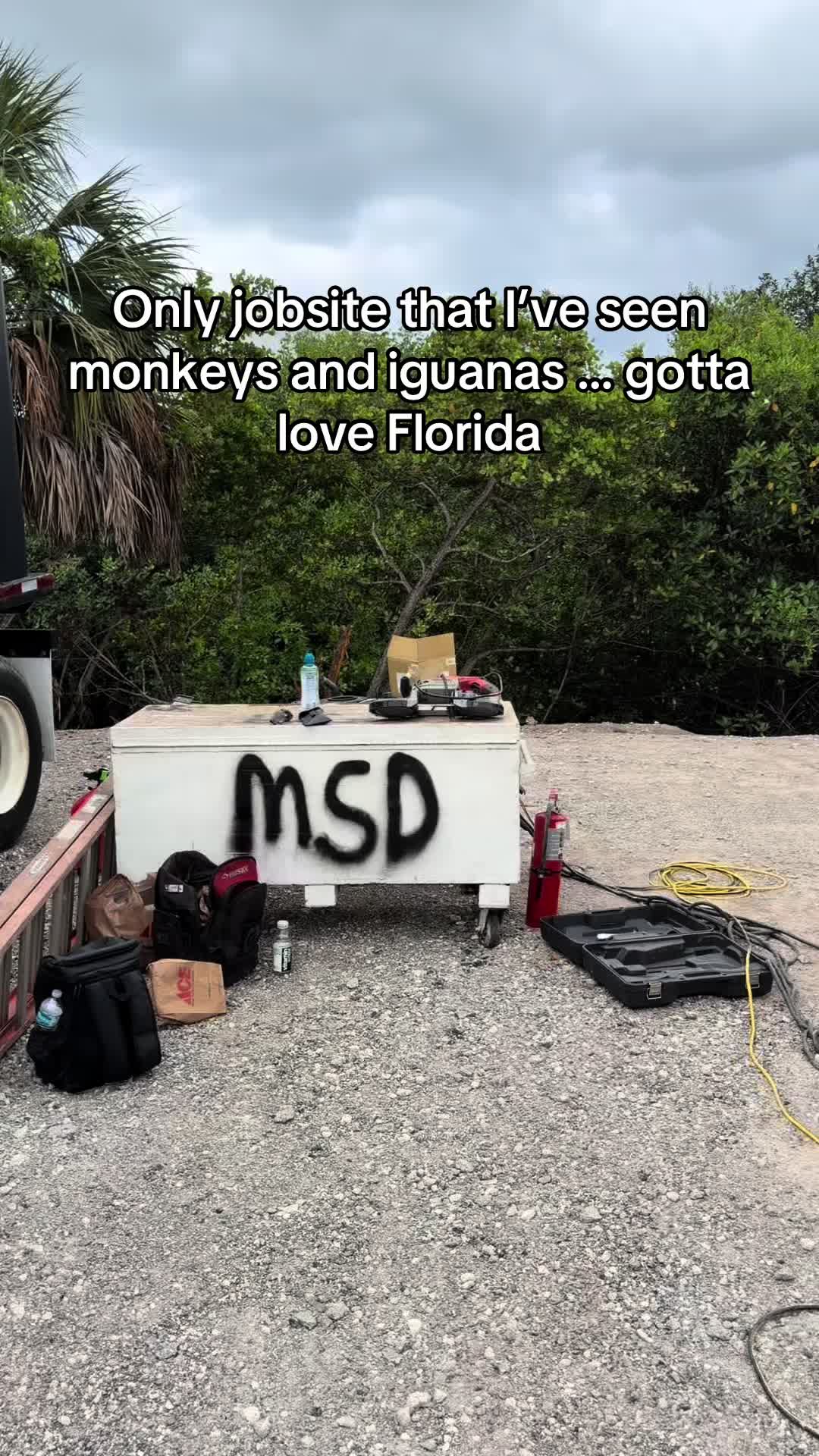 @Darren