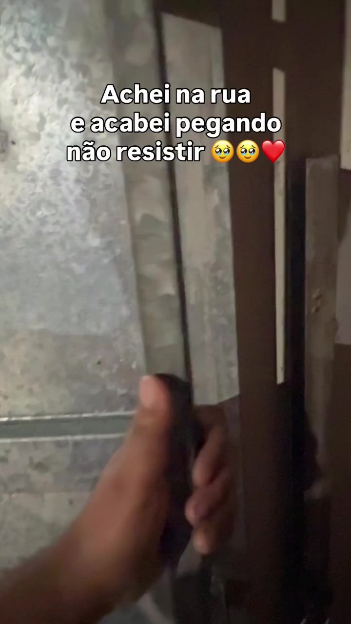 @Cay Gon&ccedil;alves ✨
