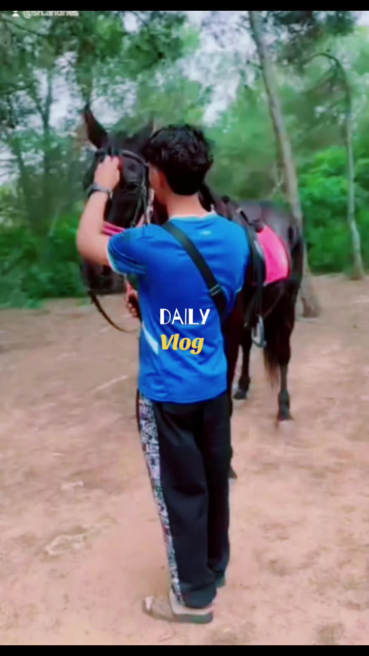 @Sàn Andries