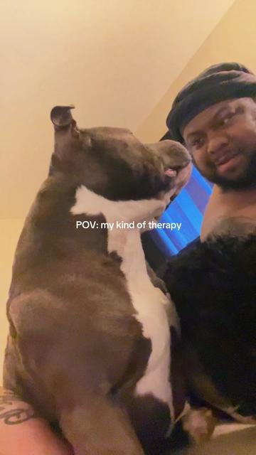 @hairstylingdoglady