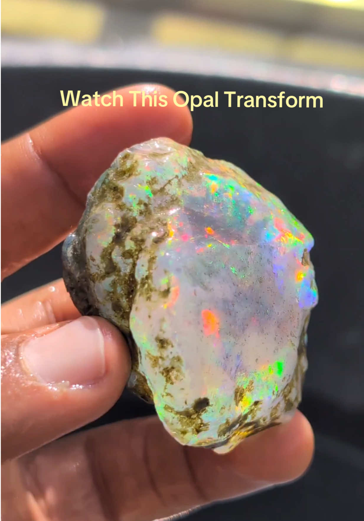 @theopaltrove
