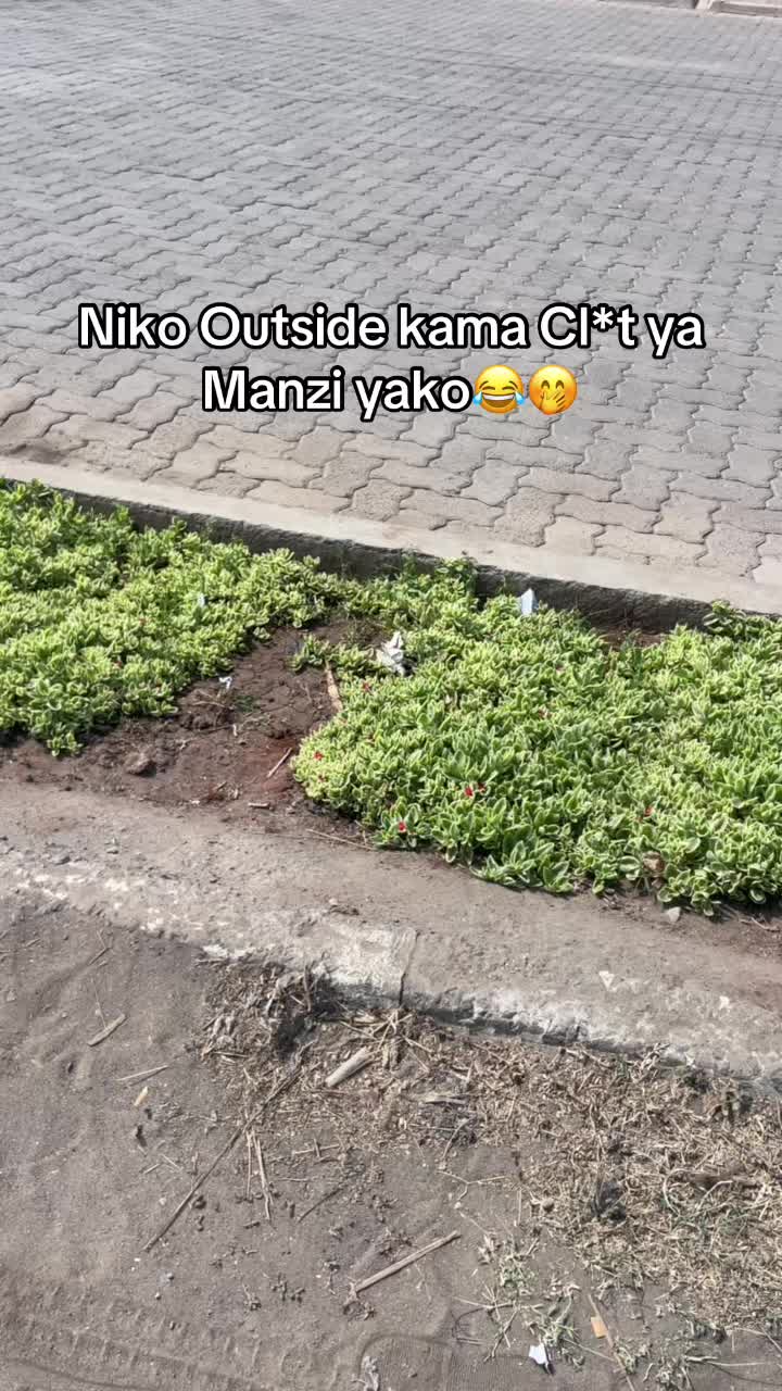 @M𝗮𝗿𝗹𝗲𝘆𓂺