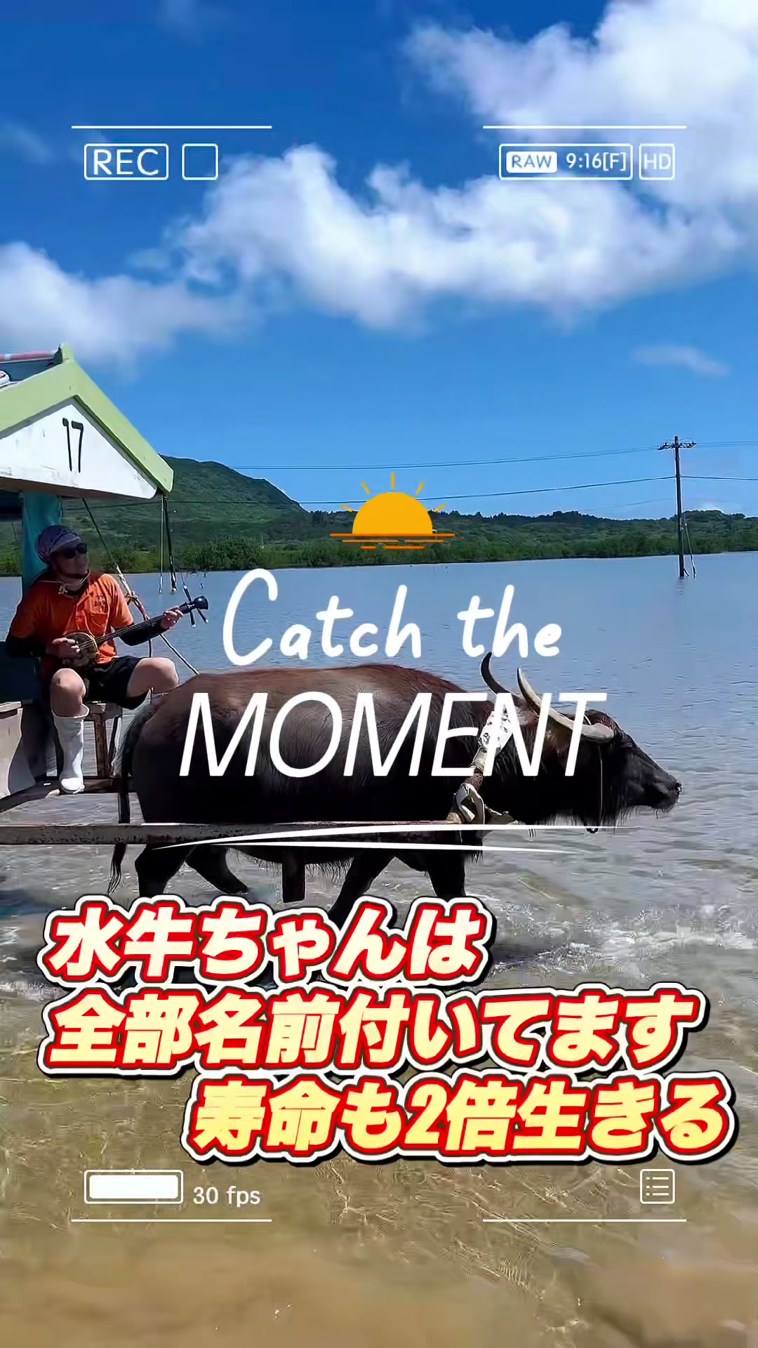 @ハピセラTV〈セラピスト応援番組〉