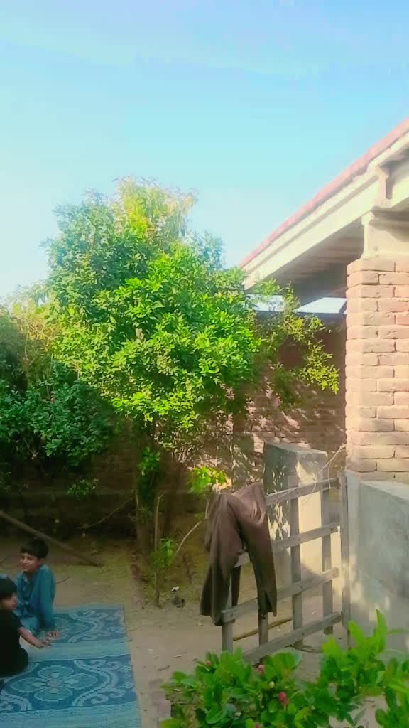 @Shahid Javed