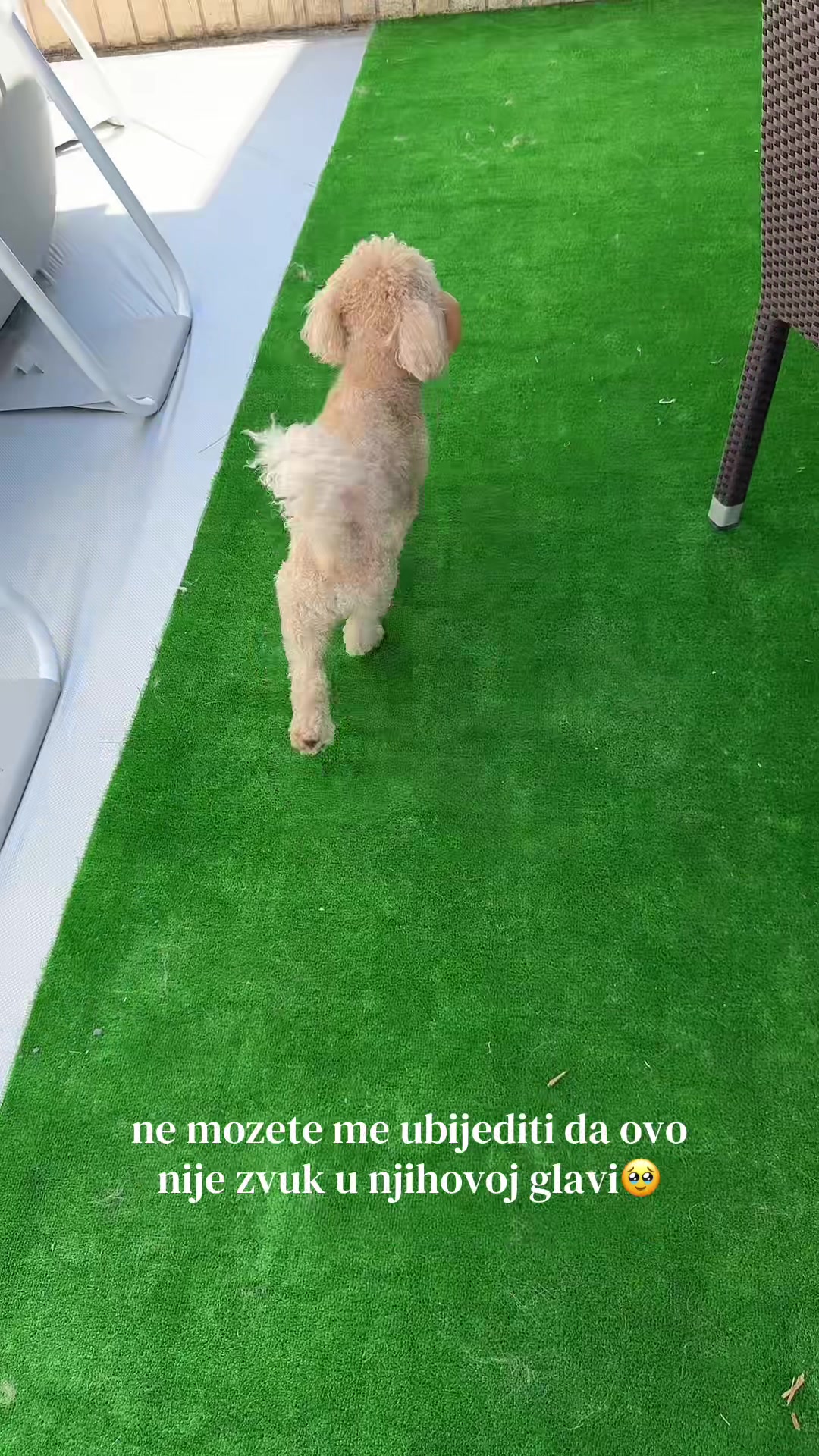 @Merdzy