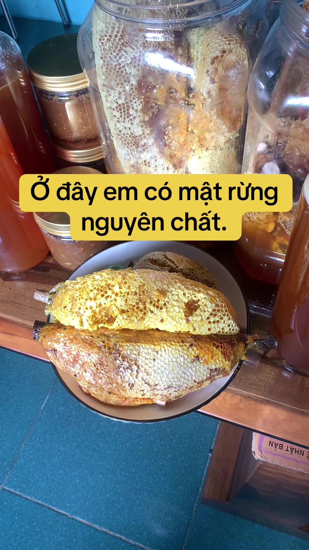 @Mật rừng THÀNH ĐẠT