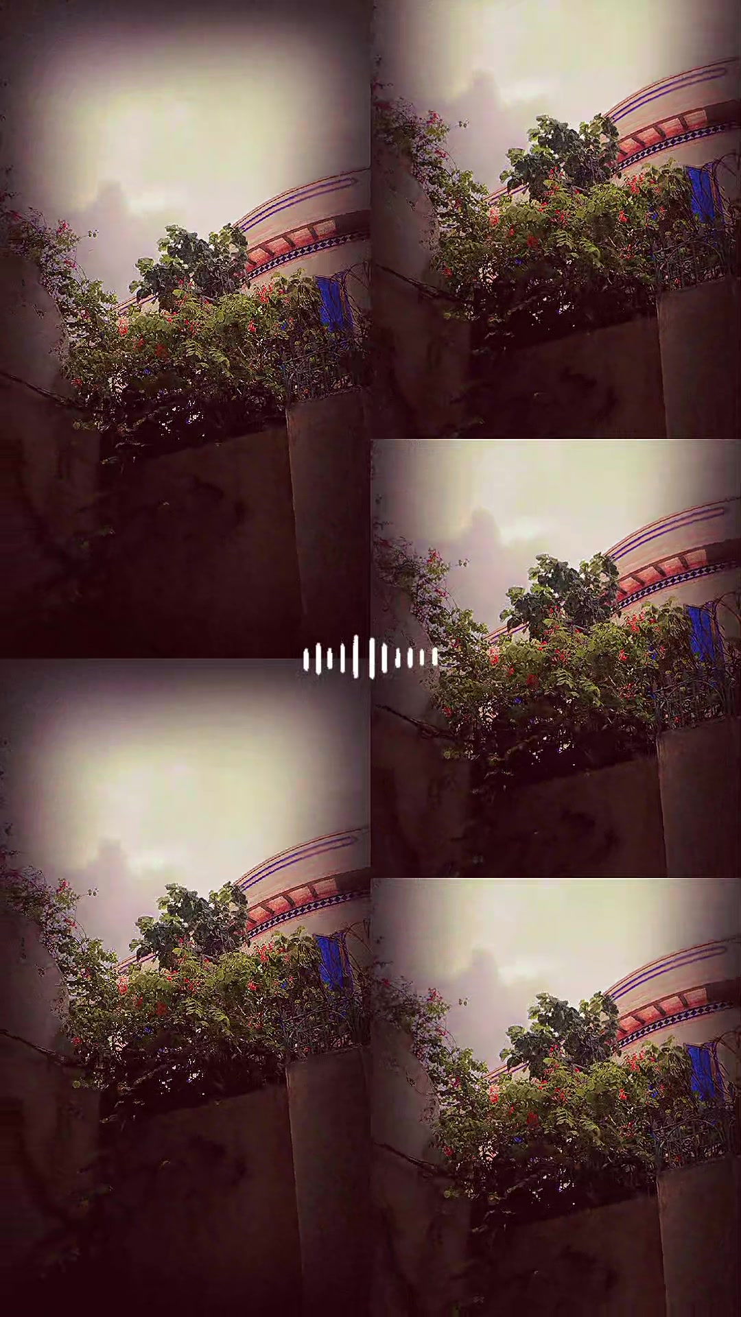 @Rana Aalyan