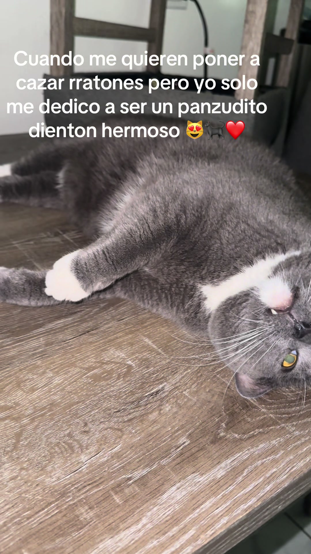 @🍀🧿NEGRA🧿🍀🖤