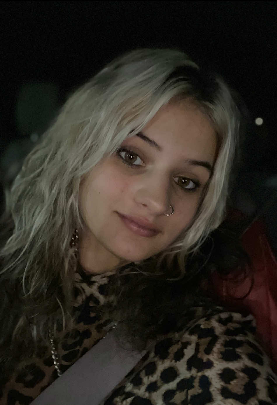 @Ayla
